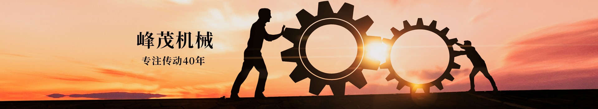 東莞市峰茂機械設(shè)備有限公司，專注齒條齒輪傳動40年